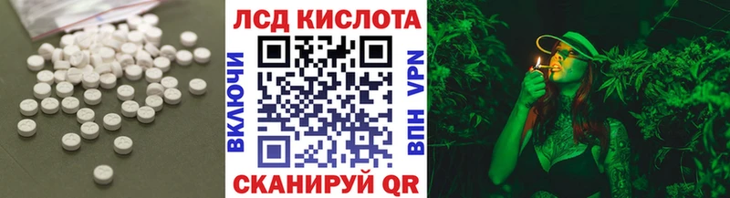 ЛСД экстази кислота  OMG как зайти  Новоржев 